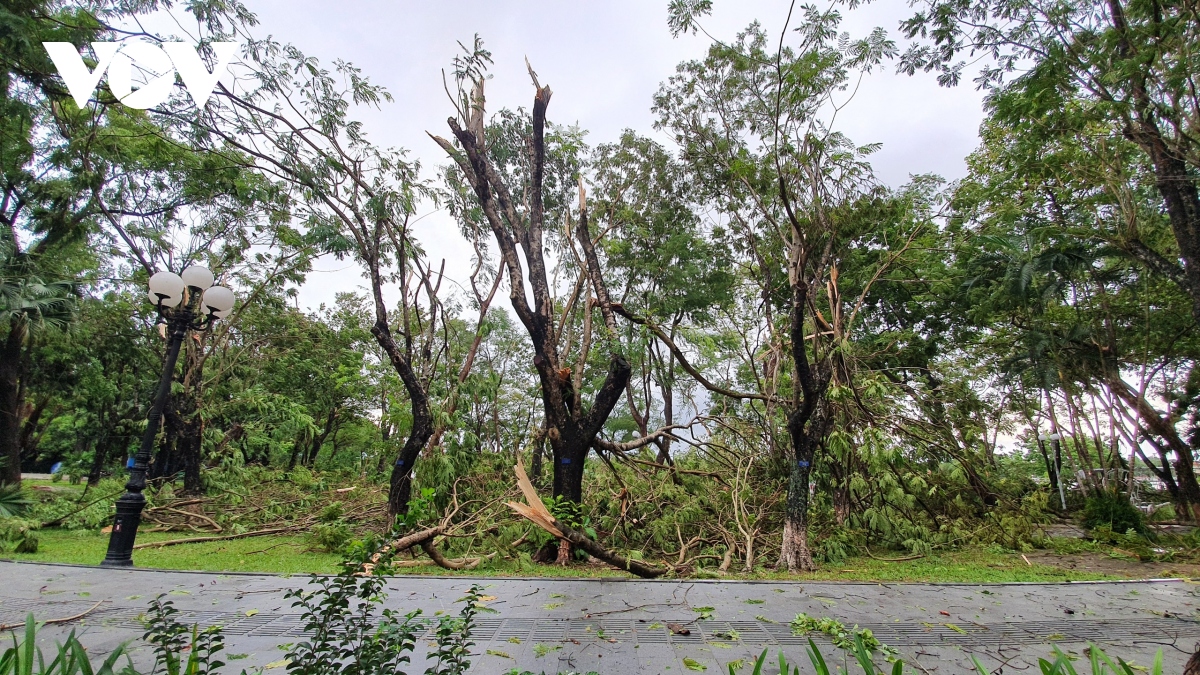 Khoảnh khắc bão số 5 đổ bộ gây mưa to gió giật mạnh ở Huế